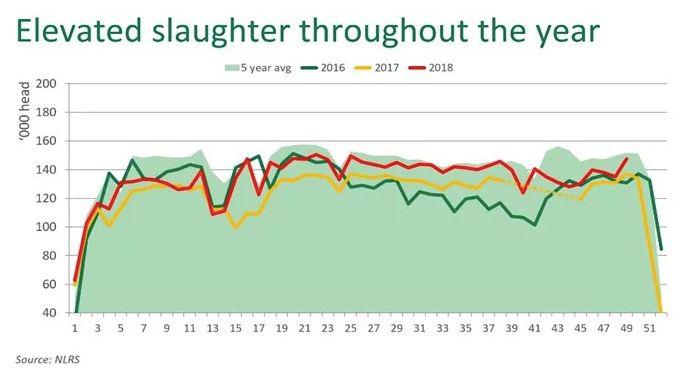 报告丨2018年澳洲牛肉出口量受亚洲市场推动，连续6年超过百万吨