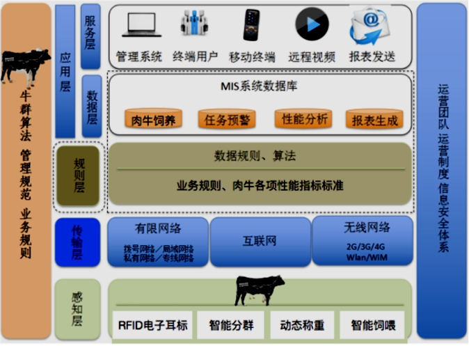 构建牛场物联网养殖大数据云平台，帮助企业养好牛、管好事、算好账！