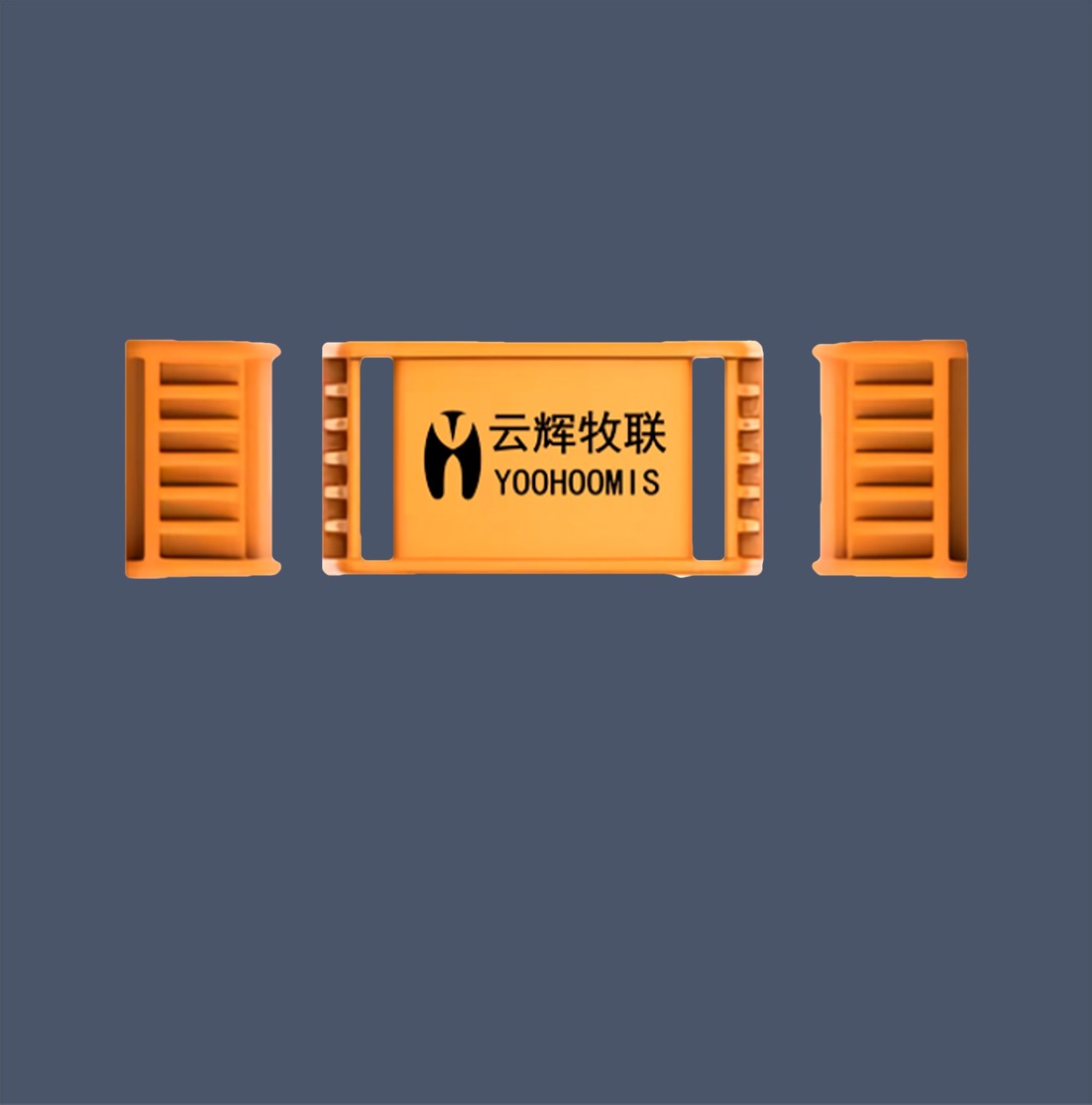 智能项圈-BD-内页